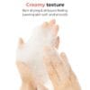 COSRX Salicylic Acid Daily Gentle Cleanser